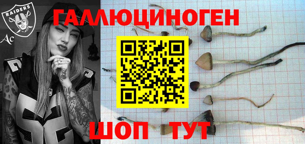 Меф кристаллы  АМФ   Cocaine  Волгодонск  Бошки Шишки  НБОМе  ГАШИШ  Вход с VPN  Купить наркоту  МАРИХУАНА 