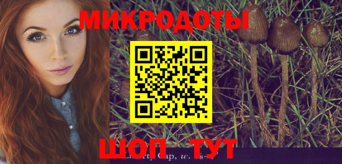Псилоцибиновые грибы Psilocybine cubensis Волгодонск