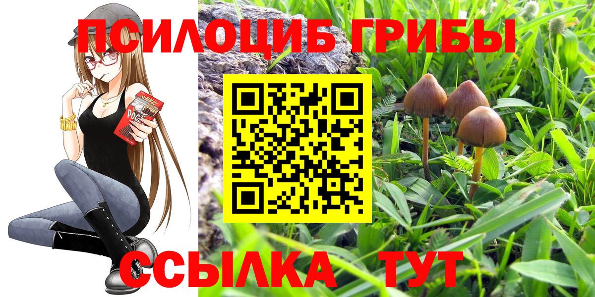 Галлюциногенные грибы MAGIC MUSHROOMS  Галлюциногенные грибы Cubensis  Волгодонск  Вход с VPN 